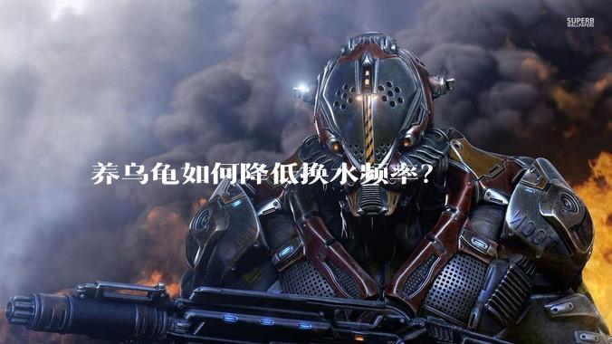 养乌龟如何降低换水频率？